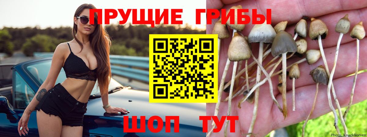 Лабытнанги  Галлюциногенные грибы GOLDEN TEACHER  Вход с VPN  Галлюциногенные грибы GOLDEN TEACHER 